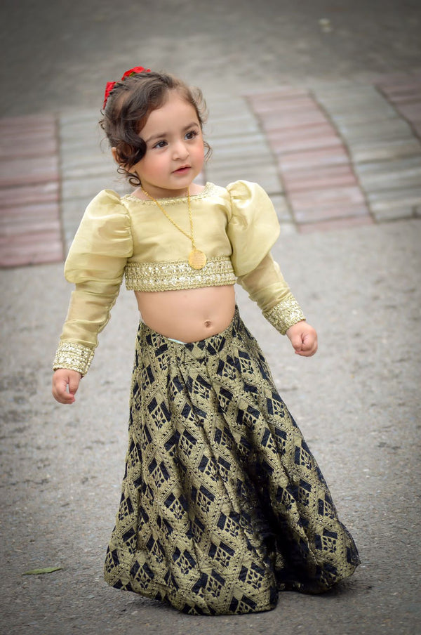 Girls Lehanga Choli